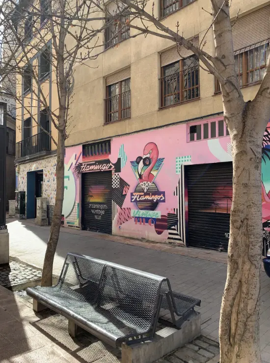 Flamingos Vintage on Plaza de Ignacio Jordan Asso